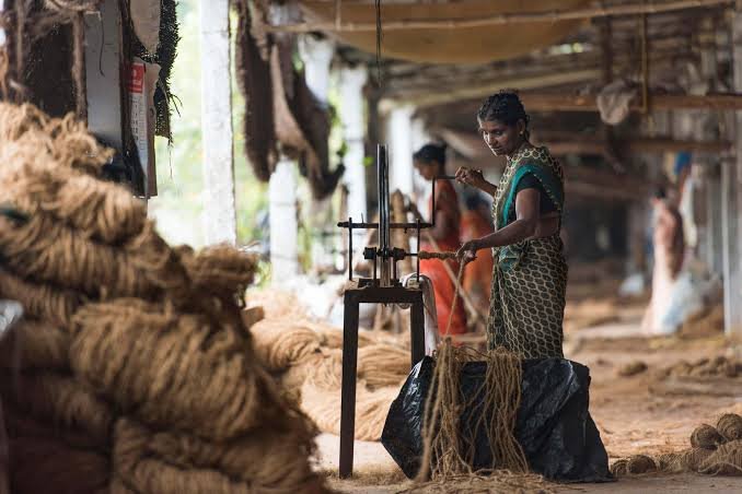 Village craftswoman spinning coir fiber
